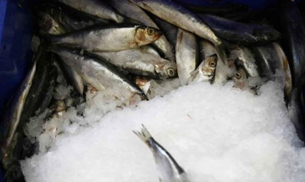 Iš Žuvininkystės produktų aukciono norima susigrąžinti apie 5,6 mln. Lt, skirtų iš Europos Sąjungos fondų. 