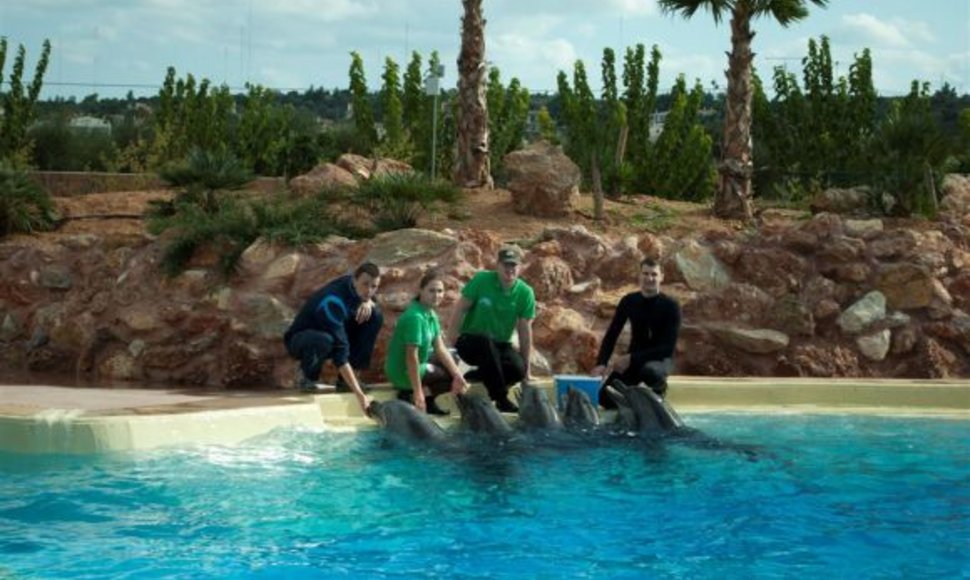 Iš Lietuvos jūrų muziejaus į Graikiją išskraidinti delfinai bando prisitaikyti prie naujų gyvenimo sąlygų.