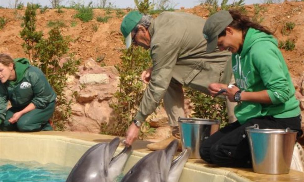 Delfinus į Graikiją atlydėjo treneriai ir veterinarijos specialistai.