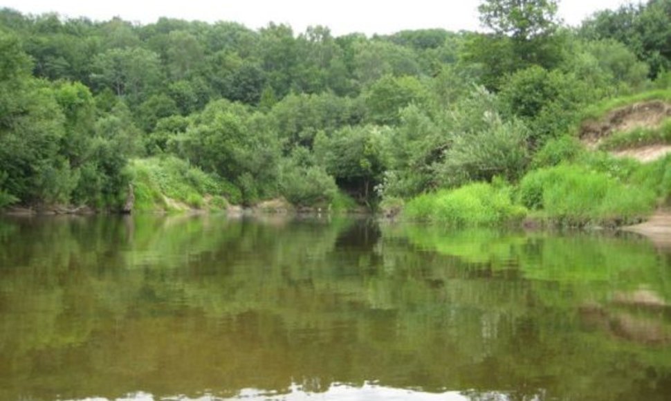 Minijos upėje ties Priekule nepatariama maudytis.