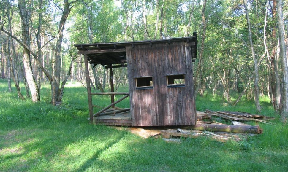 Dalinai nugriautas medžiotoju bokstelis Grobsto gamtos rezervate.