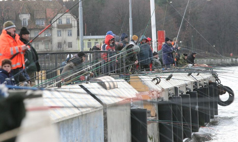 Pasirodžiusios pirmosios stintos sutraukė žvejus į Kruizinių laivų terminalą. 