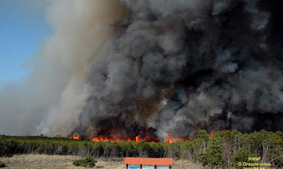 2006-aisiais siautęs Smiltynės gaisras pramintas amžiaus gaisru. Išdegė 235 ha miško ploto.
