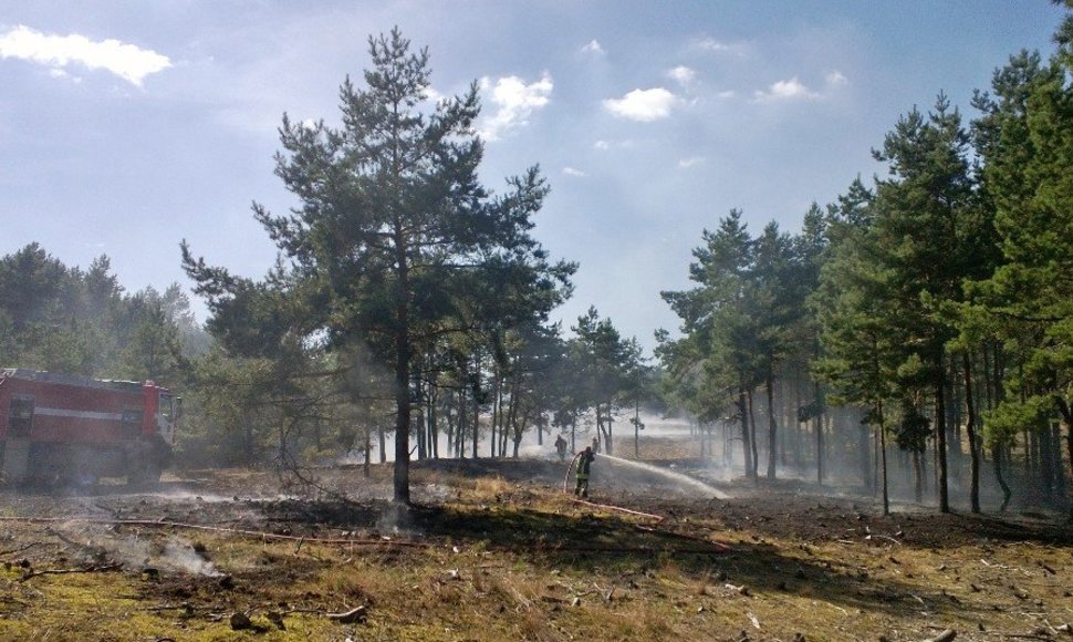 Smiltynėje pirmadienio popietę užsidegė miškas. Iš viso išdegė apie 30 arų miško paklotės. 