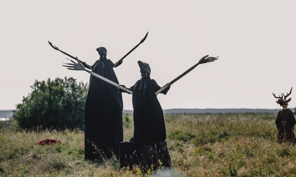 Vilhelmo teatrų festivalis