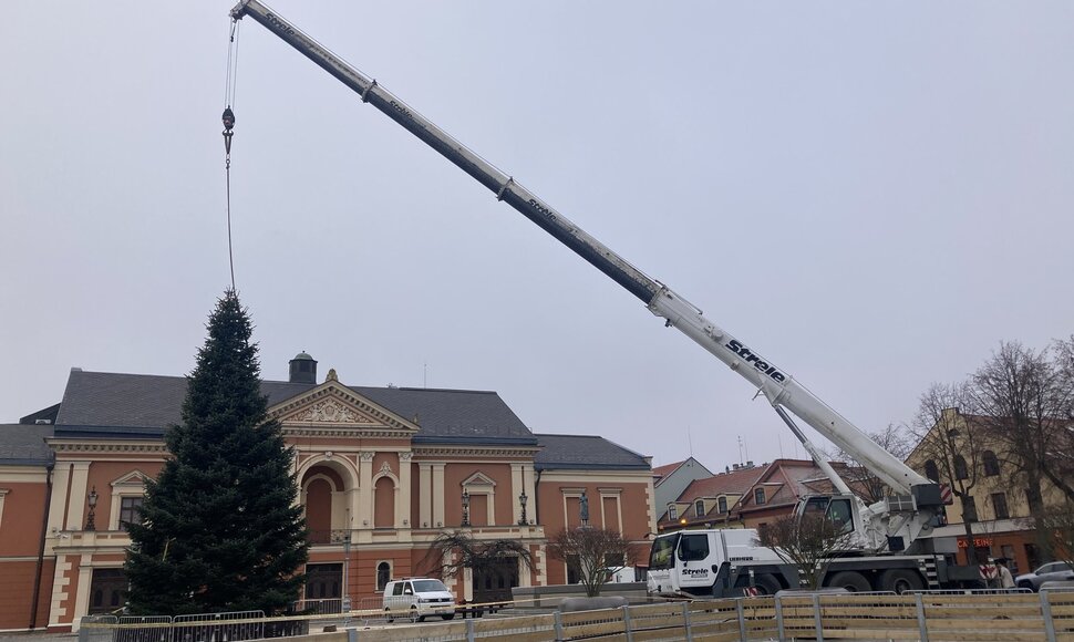 Teatro aikštėje jau stovi eglė