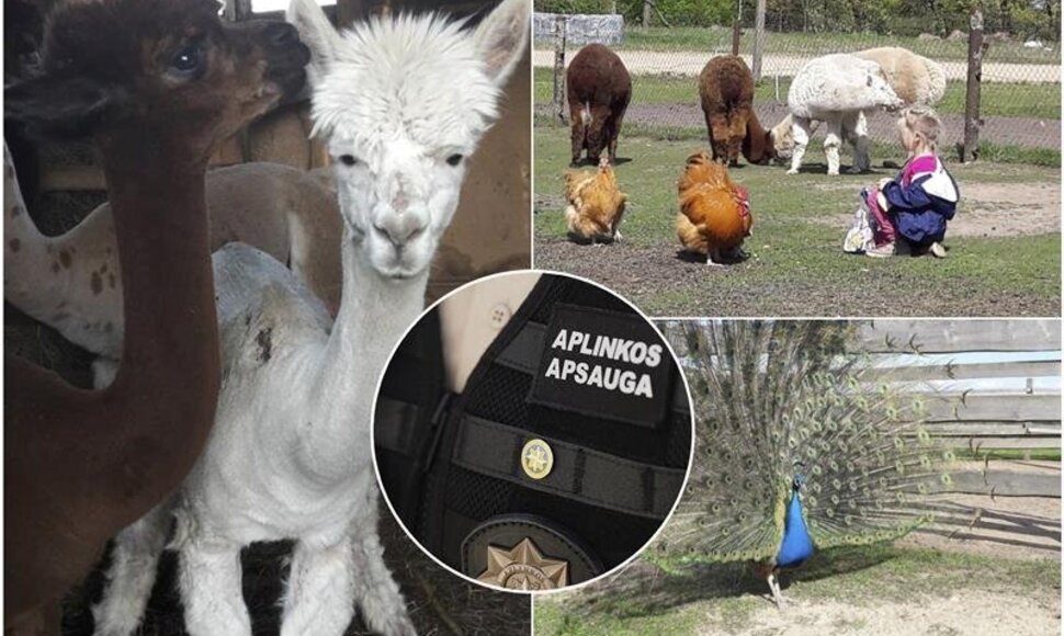 S.Klymanto sodyba Tauragės rajone sulaukė aplinkosaugininkų dėmesio