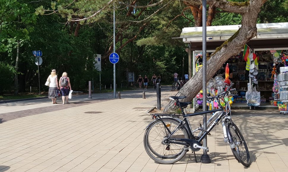 Draudimų važiuoti dviračiu paiso ne visi.