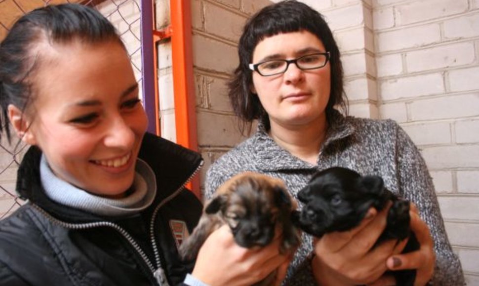 Globoti benamius gyvūnus R.Gineikienei (dešinėje) padeda keletas savanorių. Viena jų – aktorė S.Šakinytė, per pusmetį ji rado namus apie 30 kačių. 