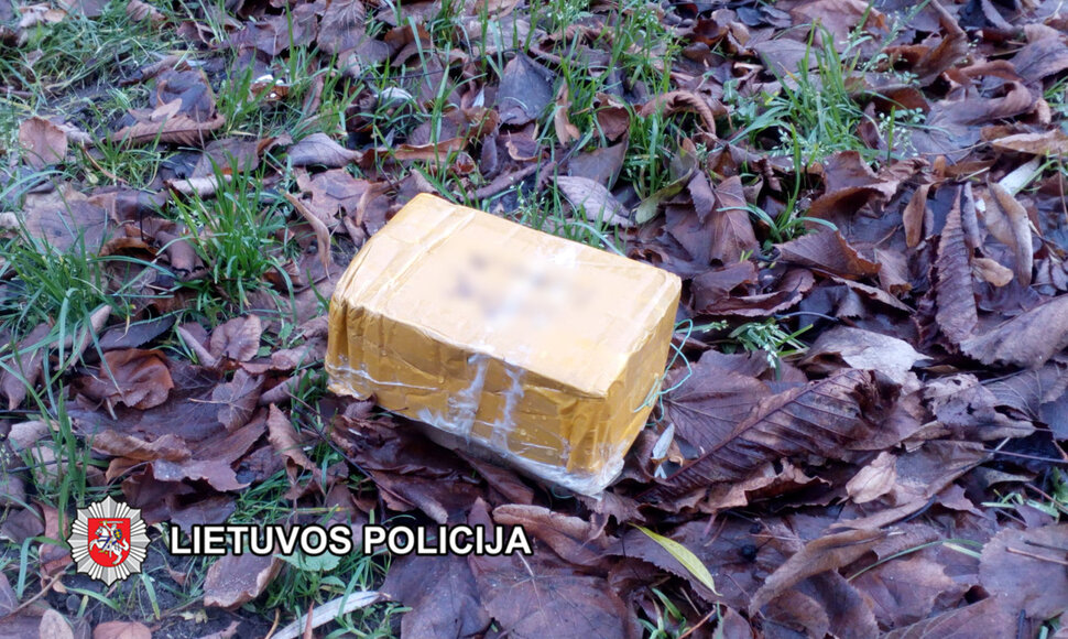 Įtartinta dėžė sunaikinta.
