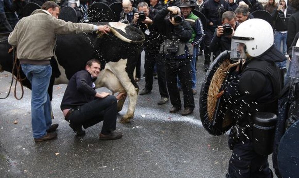 Per streiką Briuselyje policininkams teko atlaikyti pieno ataką