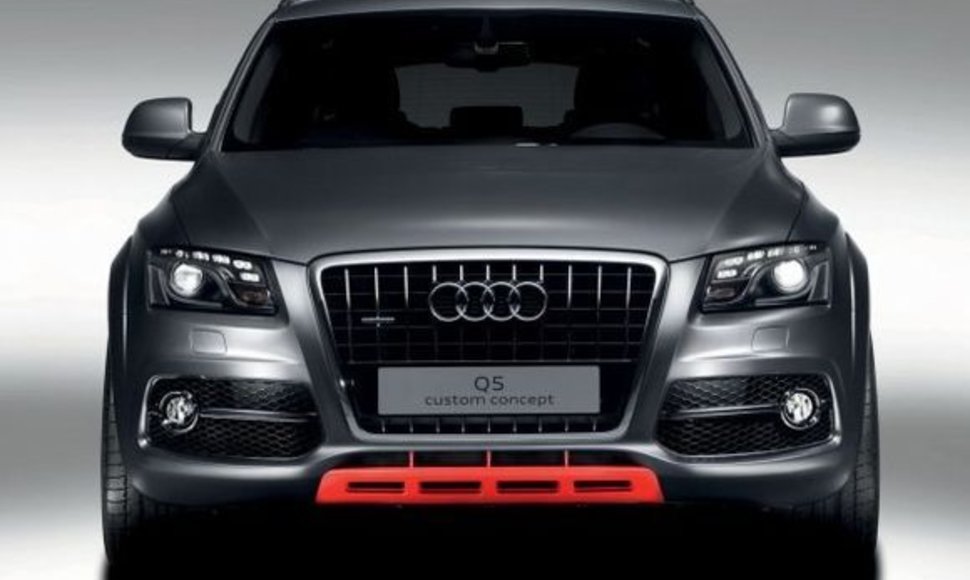 „Audi Q5 Custom“
