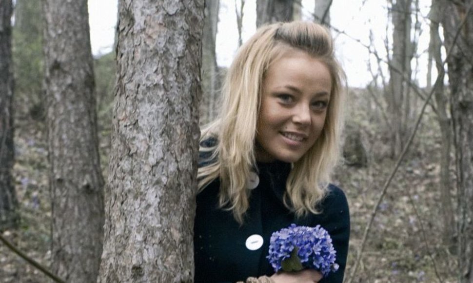 Foto naujienai: Vilija Pilipaitytė-Mia - į mišką – žibuoklių!