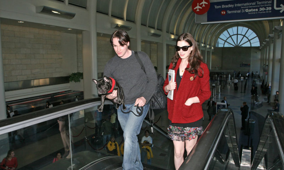 Foto naujienai: Anne Hathaway trūko kantrybė