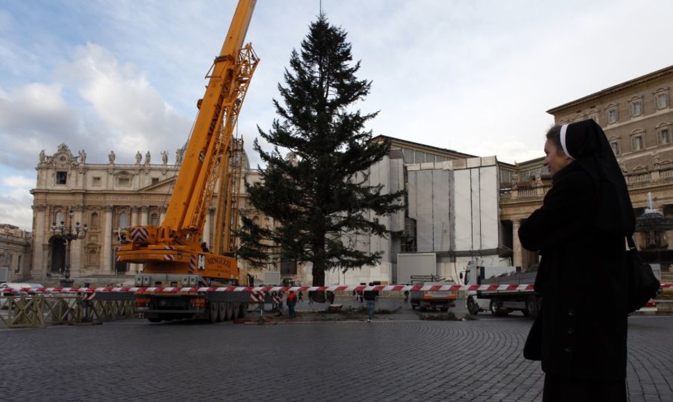 Vatikane įkurdinta Šv. Kalėdų eglė.