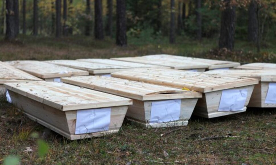 Pavogti karstai rasti Lenkijos miškuose.