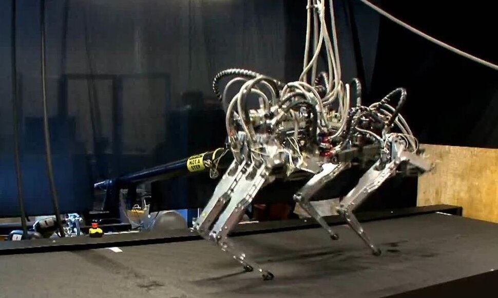 Greičiausiai bėgantis robotas pasaulyje „Cheetah“