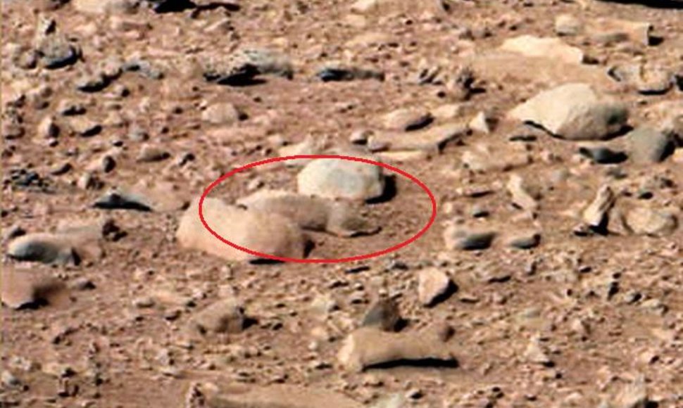 „Curiosity“ nuotraukoje iš Marso įdėmūs internautai pastebėjo jūrų kiaulytę primenantį objektą.