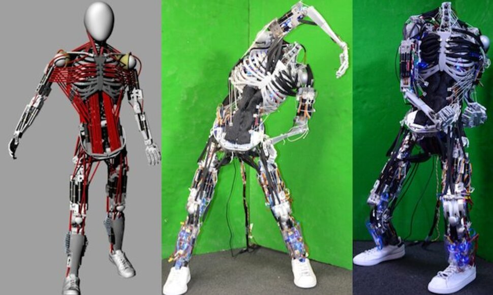 Robotas „Kenshiro“