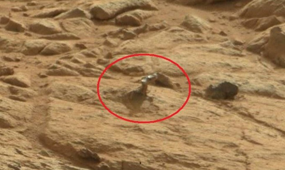 „Curiosity“ Marse nufotografavo koralą primenantį objektą