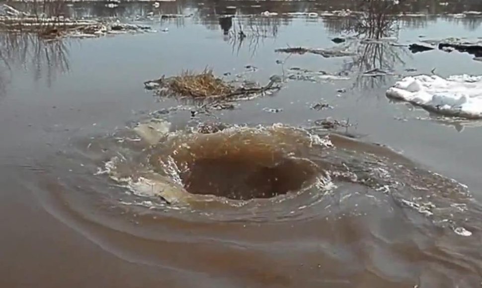 Latvijoje, netoli Dvietės miestelio užfiksuotas neįprastas reiškinys: patvinusioje Dauguvos upėje susiformavo viską siurbiantis vandens sūkurys.