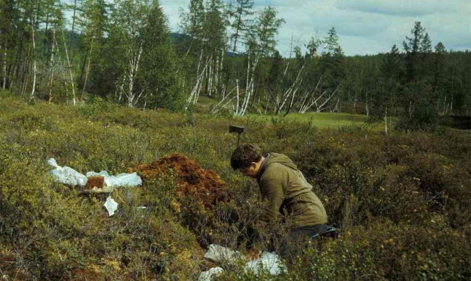 Rusijos tyrėjas Andrejus Zlobinas 1988 metais vykusios ekspedicijos metu Tunguskos incidento apylinkėse surinko per šimtą akmenų, kurie atrodė kaip meteoritai.