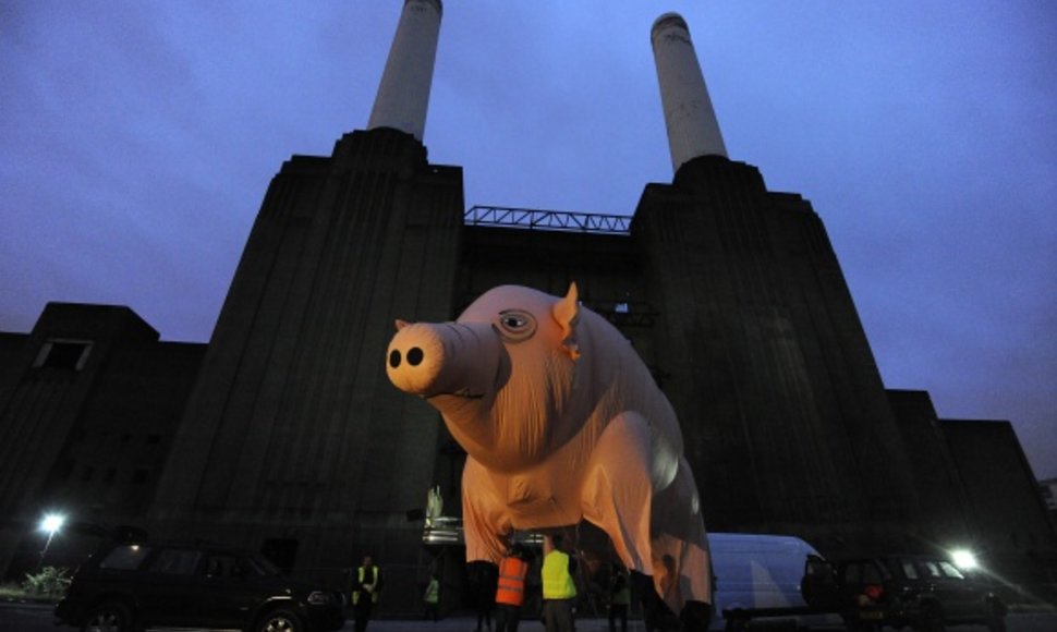 „Pink Floyd“ kiaulė prie Londono Batersio jėgainės ruošiasi skrydžiui.