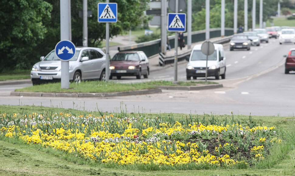 Gėlių gausa Vilnius pasigirti negali