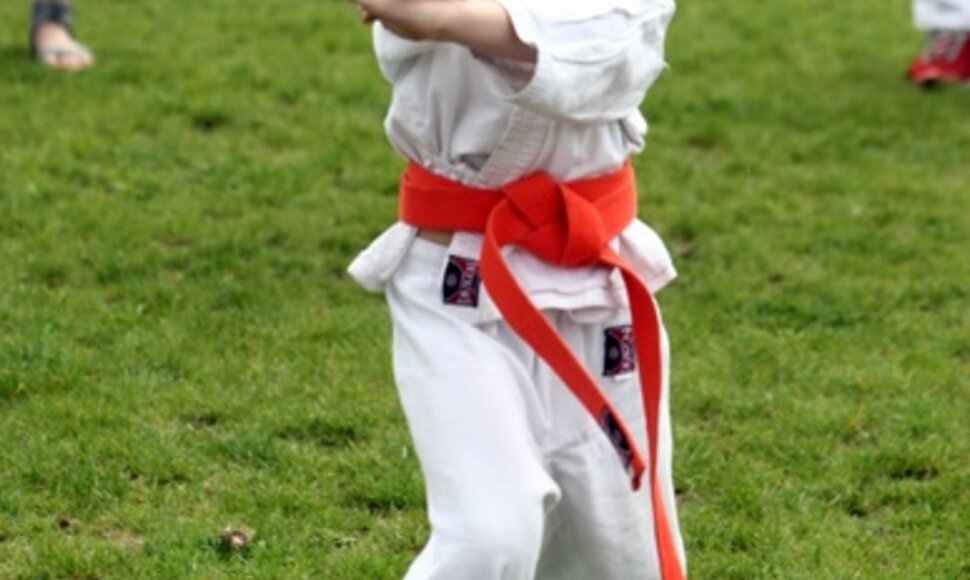 &Scaron;e&scaron;tadieniais į Vingio parką kviečiami visi, norintys i&scaron;mėginti bėgimą, jogą, karate, riedučius ar tiesiog pasivaik&scaron;čioti. 