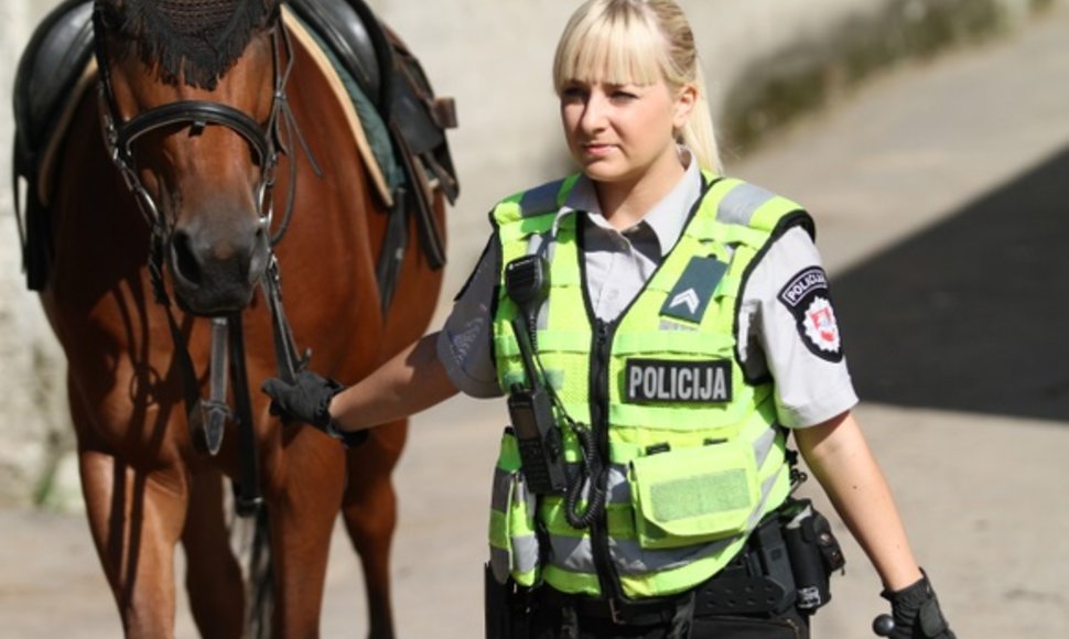 Raitosios policijos žirgai 