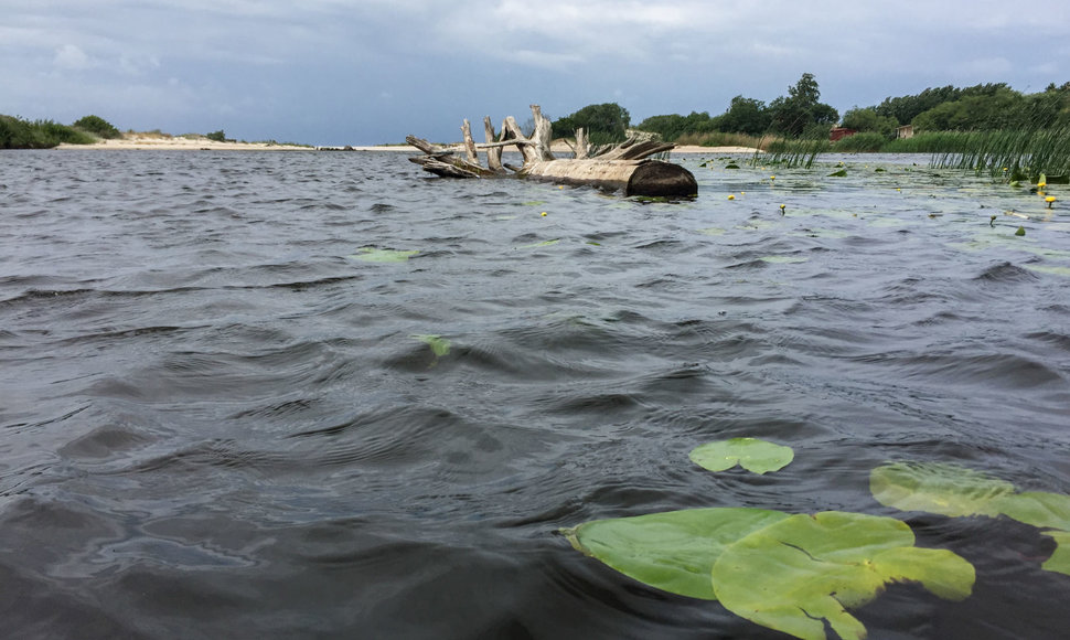 Baidarių žygis Šventosios upe