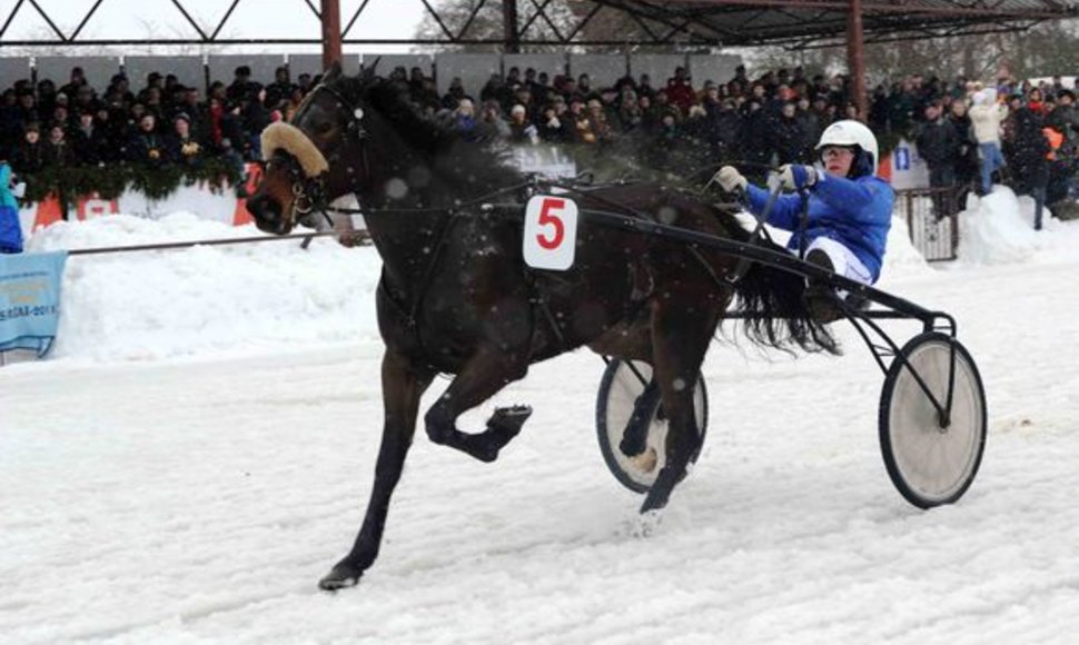 „Sartai 2011“ žirgų lenktynių akimirka