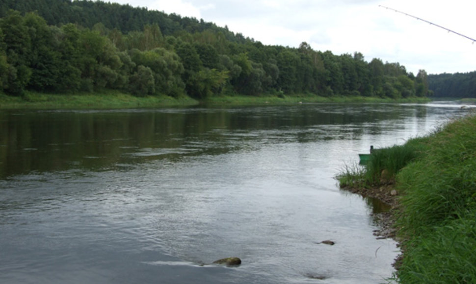  Ūsoriai laikosi upių ruožuose, kur dugnas kietas – žvirgždėtas ar molingas, o vagoje pasitaiko riedulių 