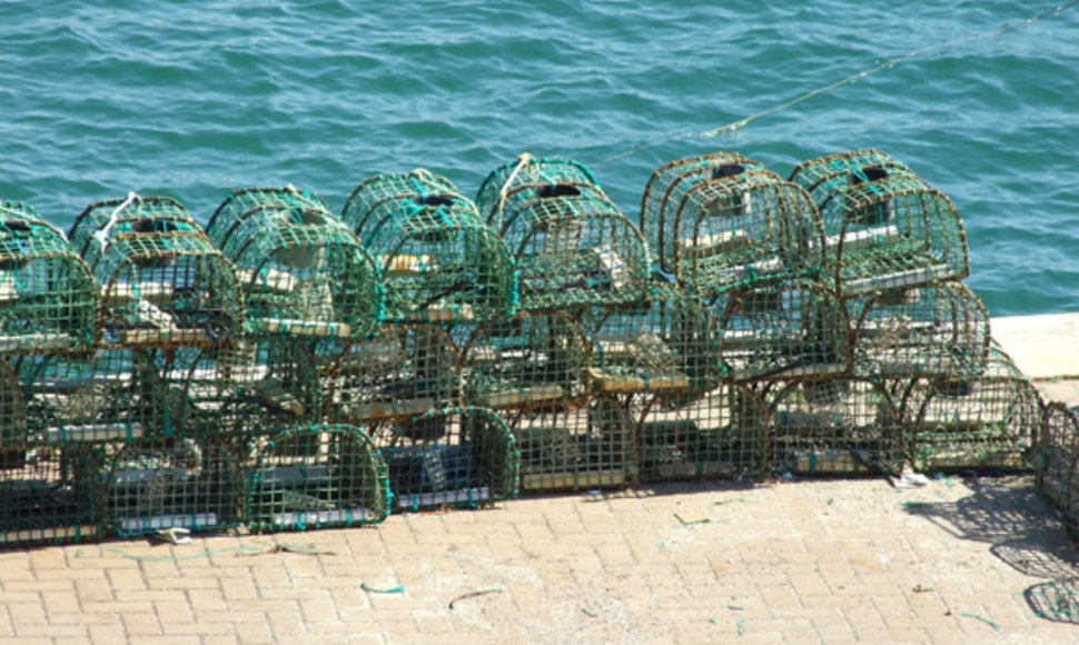Australijos žvejus verslininkus visuomenė paragino atsisakyti tralų ir žvejoti gaudyklėmis