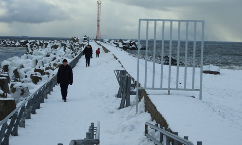 Gruodžio mėnesį nuo Baltijos molų jau galima sumeškeroti pirmąsias stintas, traukiančias į jūros lagūnas pasirengti nerštui       