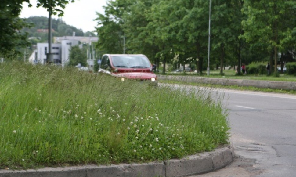 Kai kuriose Vilniaus vietose aukšta žolė trukdo eismui – išvažiuojant iš kiemų į pagrindines gatves  sunku pastebėti atvažiuojančius automobilius.