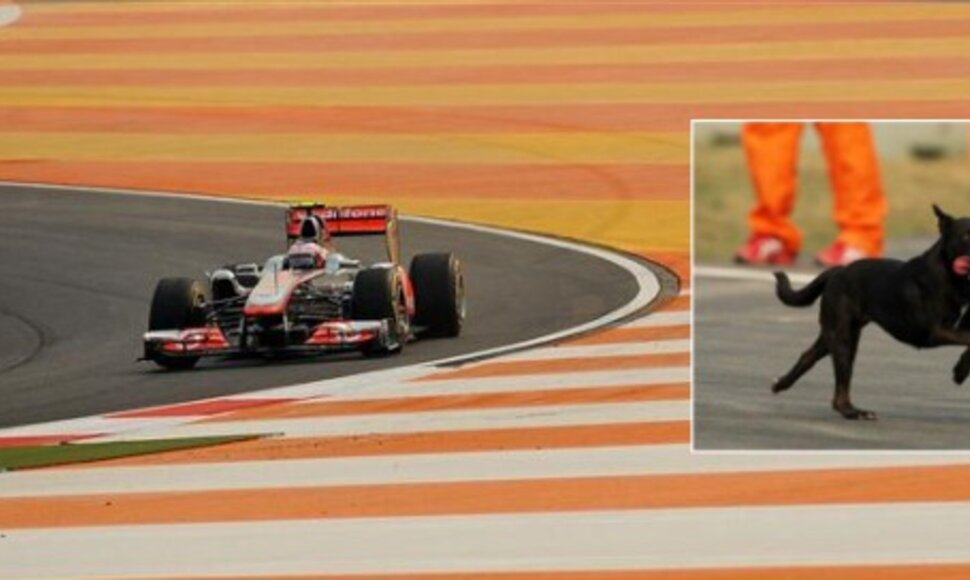Indijos GP treniruočių metu po trasą lakstė šunys