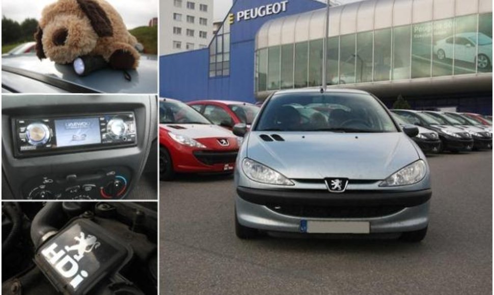 Garažas: Gedimino „Peugeot 206“