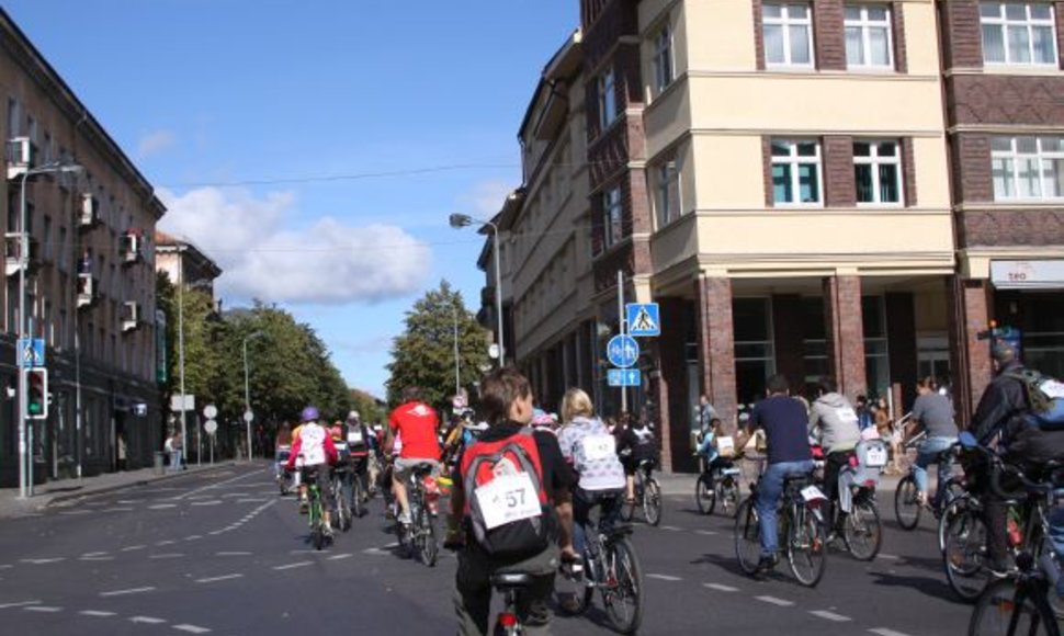 Dviratininkų bendrijos atstovas D.Mileška teigia, jog palikus esamą sistemą, dviratininkai važinės taip, kaip patogu jiems. Juos tenkintų tik sprendimas atskirti eismo juostas Herkaus Manto gatve. 
