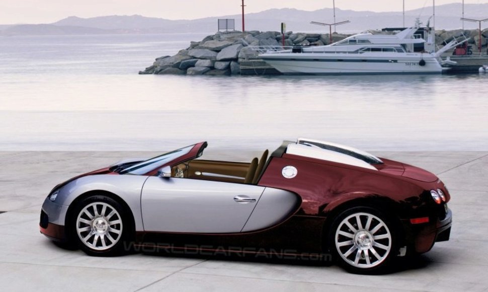 „Bugatti Veyron Targa“ pasirodys 2009 metais