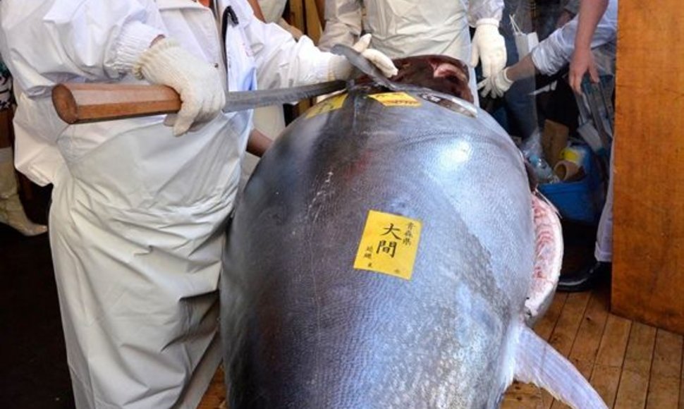 Kiyoshi Kimura pjausto tuną.
