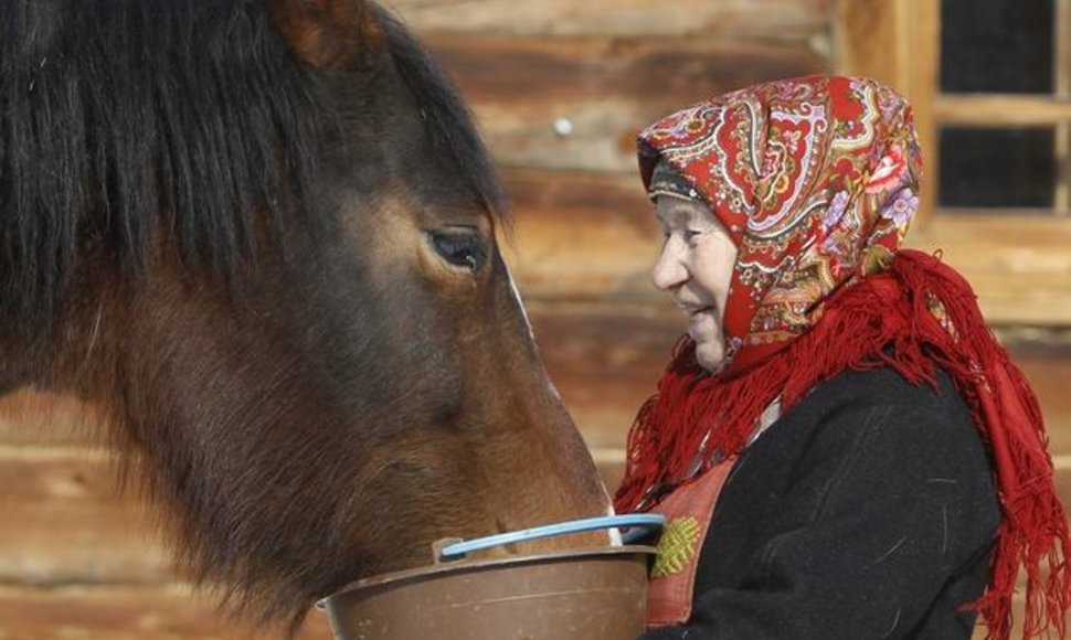 Galina Konjeva (74) šeria arklį