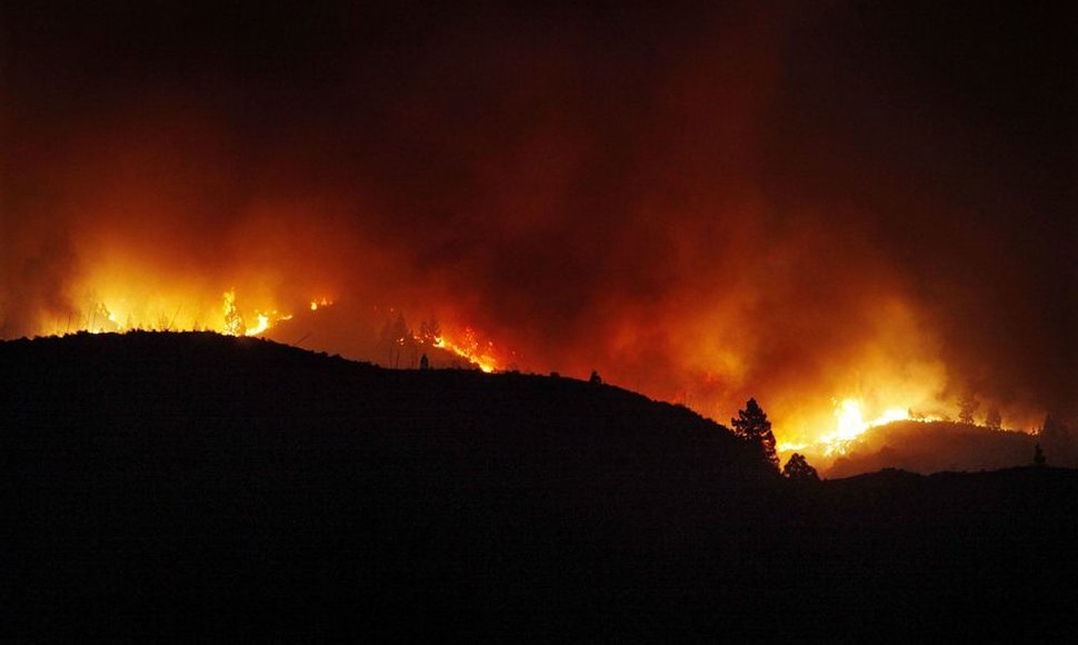 Gaisras Tenerifės saloje