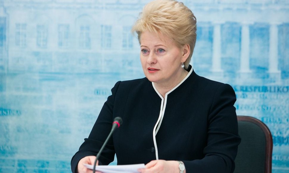 Prezidentė Dalia Grybauskaitė (2013 m. vasario 6 d.)