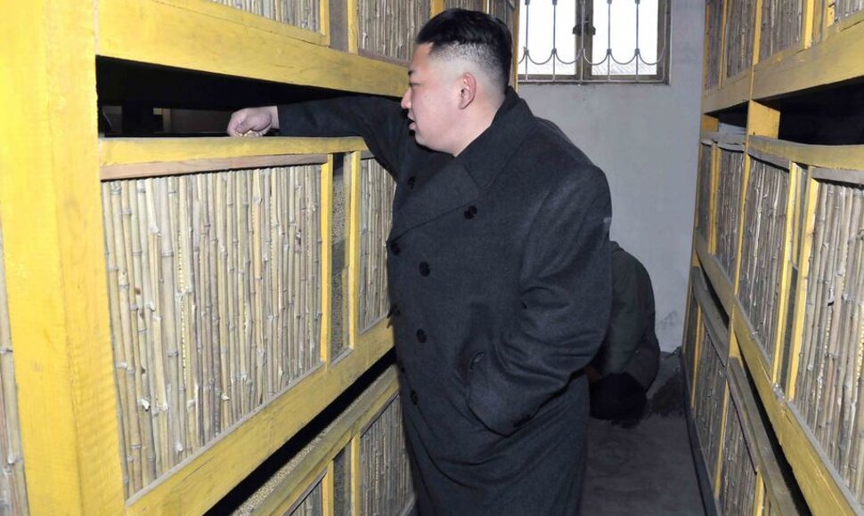 Kim Jong Unas