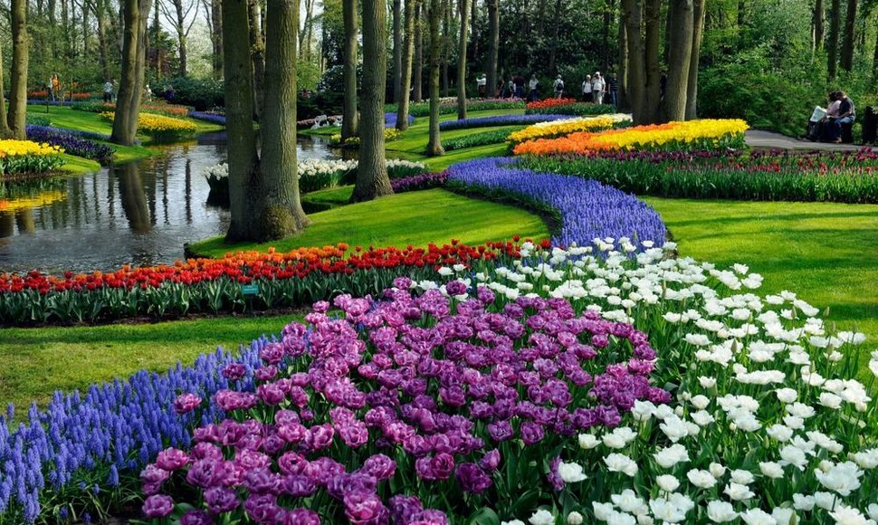 Gėlių sodas Nyderlanduose