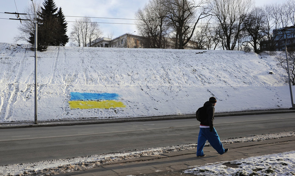 Ant sniego nupiešta Ukrainos vėliava