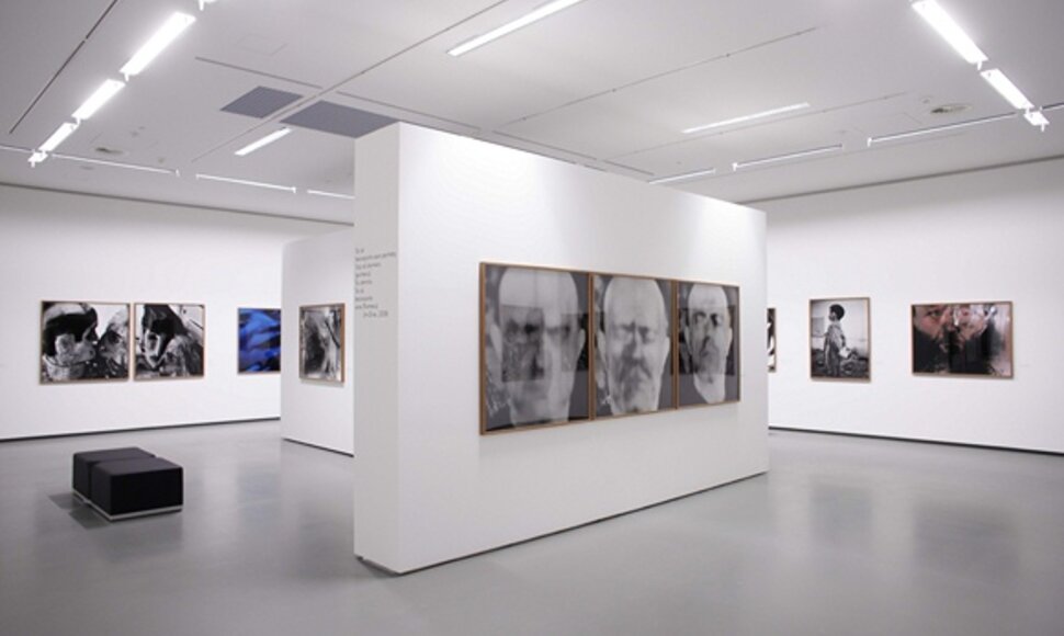 Jimo Dine'o paroda