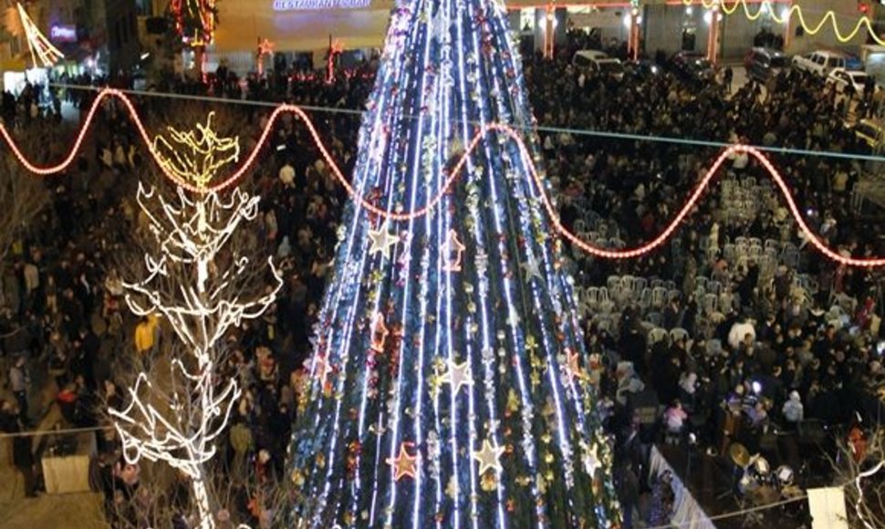 Kalėdų eglė Betliejuje