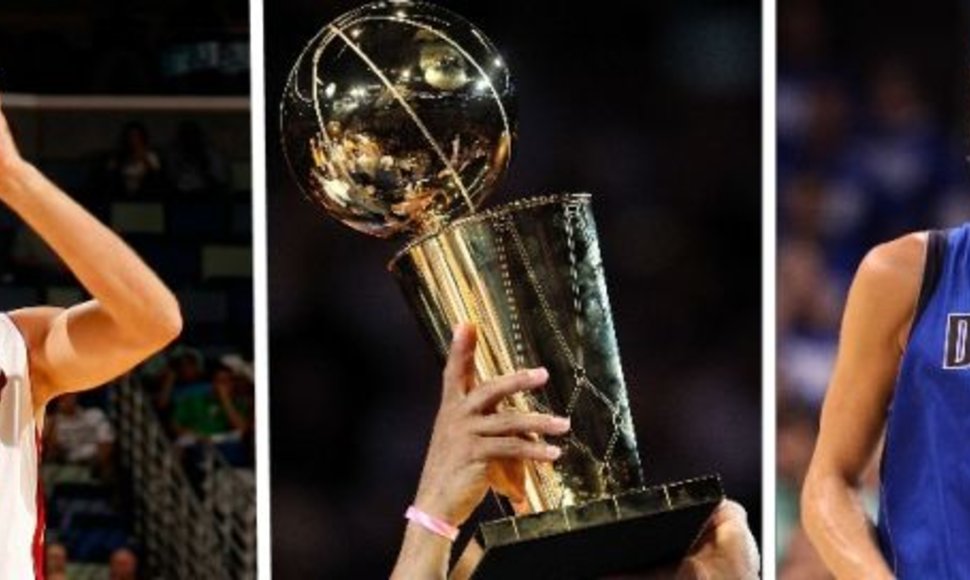 NBA finale kovos Žydrūnas Ilgauskas ir Dirkas Nowitzki.
